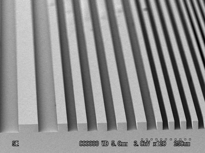 感光性樹脂パターンSEM